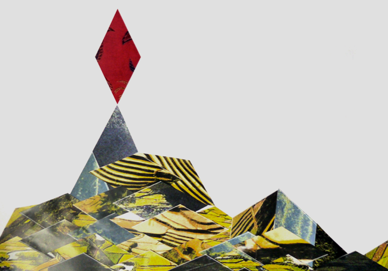 collage7