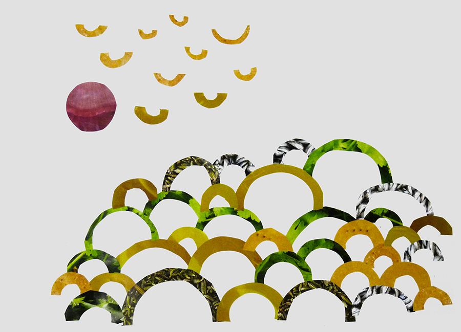 pissa8