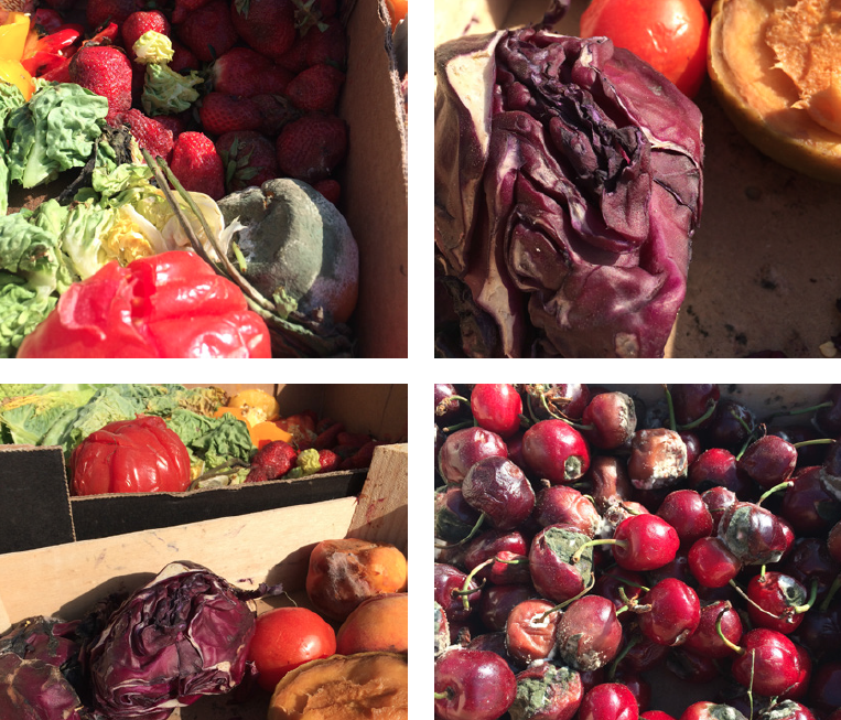 vege3
