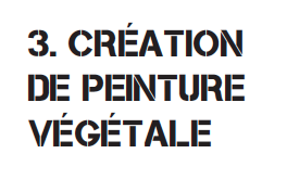 vege5